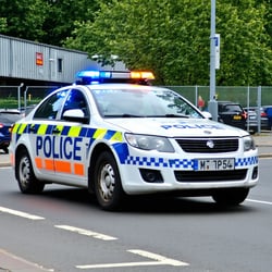 police car-1
